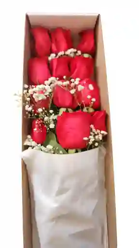 Rosas De Regalo