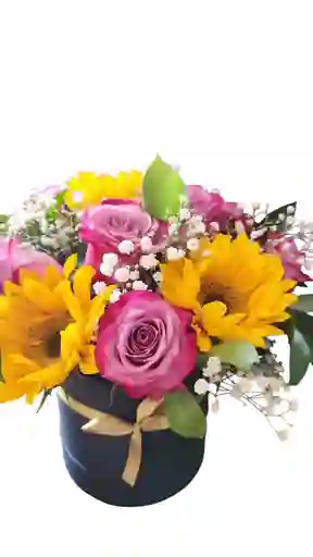 Girasoles Y Rosas Primavera
