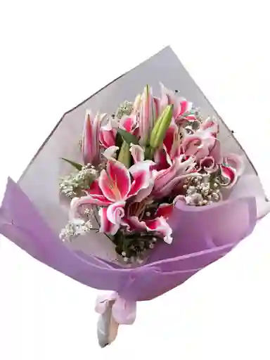 Lirios Pink