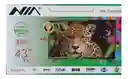 Televisor Nia 43 Pulgadas 4k Tdt Smart Tv