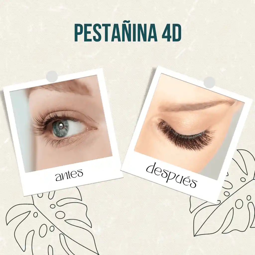 Pestañina Volumen A Prueba De Agua Pure 4d Raquel