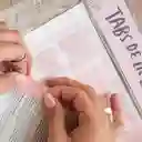 Tabs Para La Biblia Rosados
