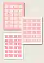 Tabs Para La Biblia Rosados