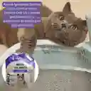 Calabaza Pets Arena Para Gatos Aroma A Lavanda