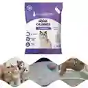 Calabaza Pets Arena Para Gatos Aroma A Lavanda