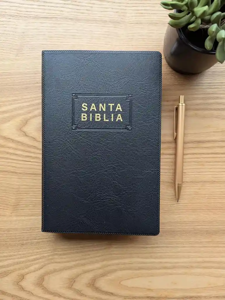 Biblia Ntv Edición Premio Y Regalo (vinipiel, Negro, Letra Roja)