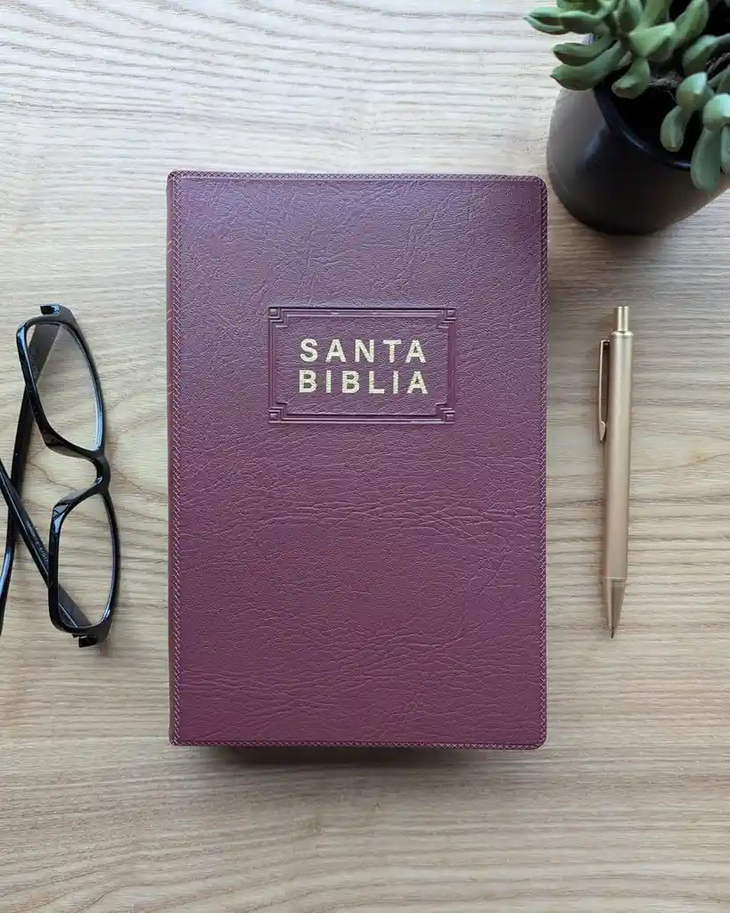 Biblia Ntv Edición Premio Y Regalo (vinipiel, Vinotinto, Letra Roja)