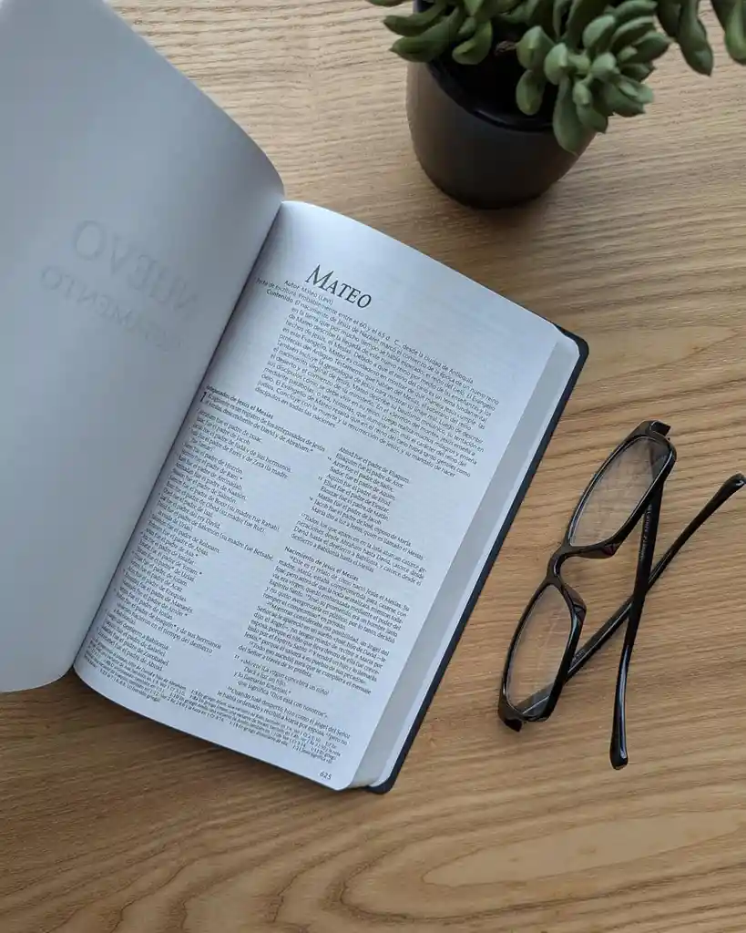 Biblia Ntv Edición Premio Y Regalo (vinipiel, Vinotinto, Letra Roja)