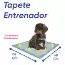 Tapete Entrenador Con Adhesivo 60 Cm X 60 Cm Por 360 Unidades