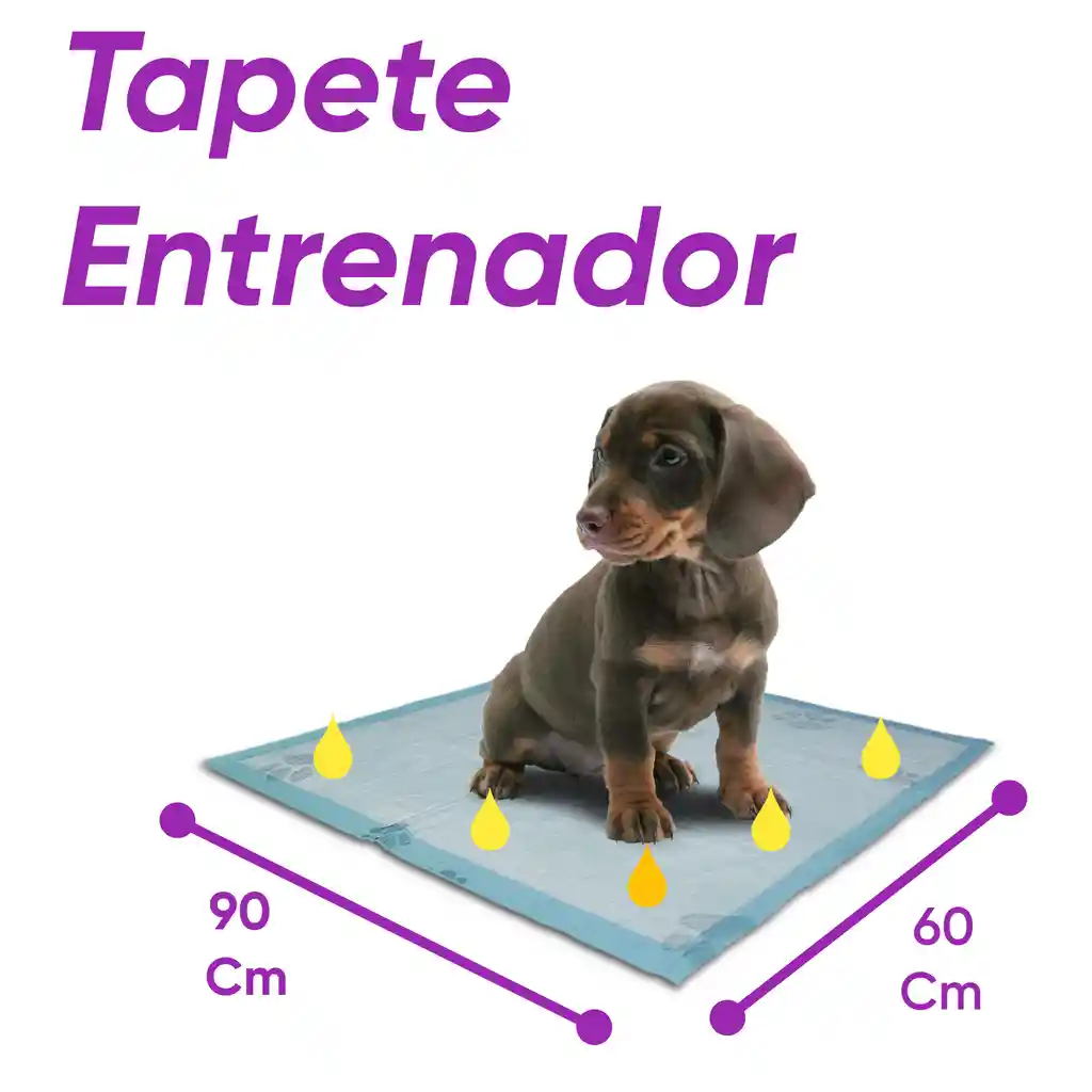 Tapete Entrenador 90 X 60 Paquete 40 Und