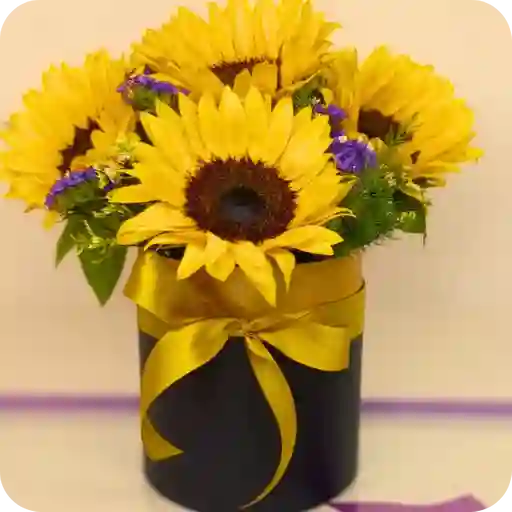 Cilindro Sunset De 4 Girasoles
