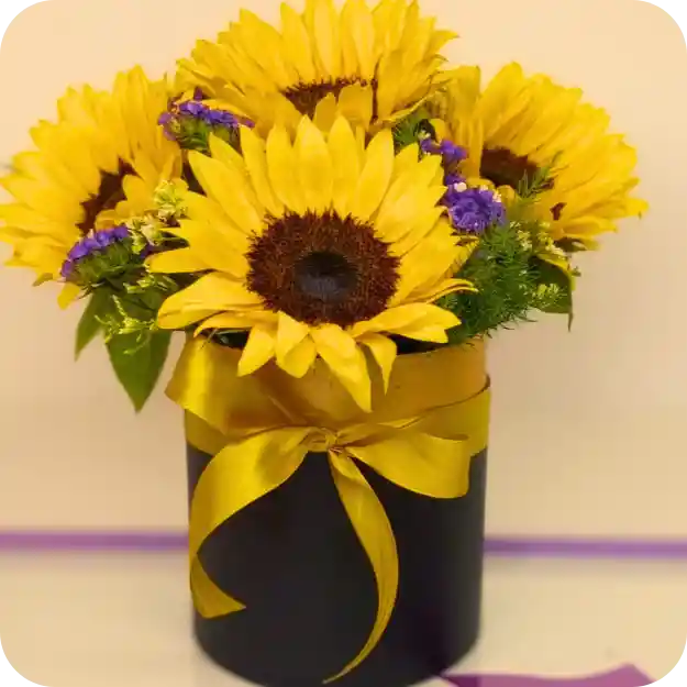 Cilindro Sunset De 4 Girasoles