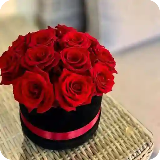 Mini Cilindro De 12 Rosas Rojas
