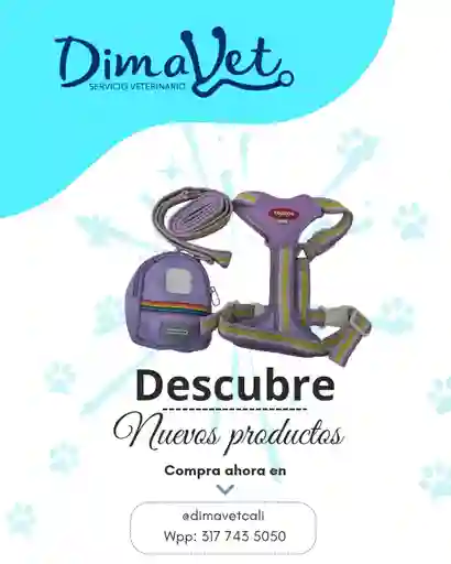 Trailla Morada Talla M Con Accesorio