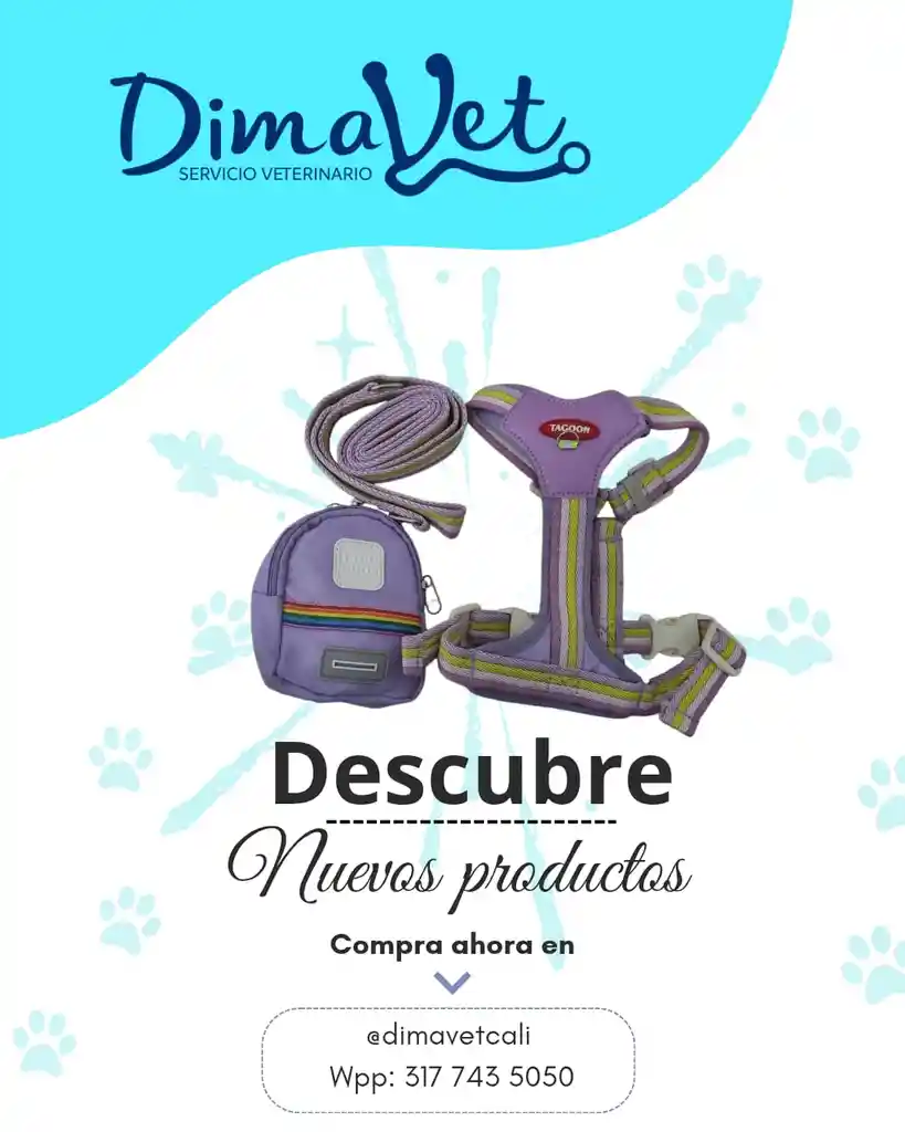 Trailla Morada Talla M Con Accesorio