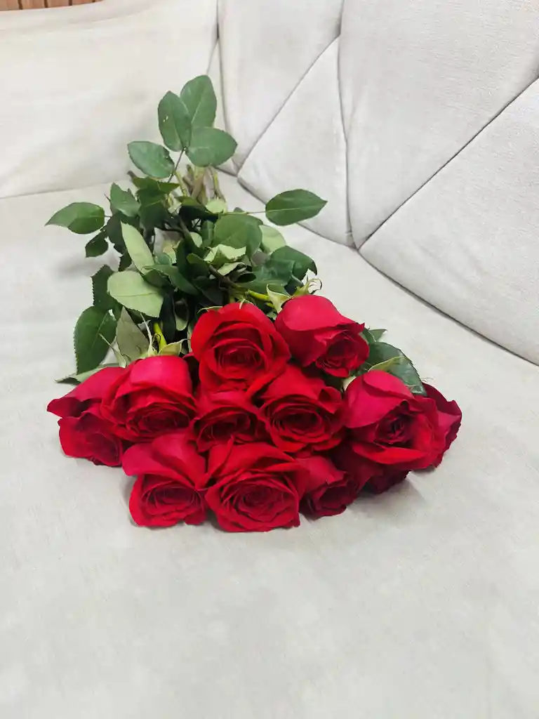 Docena De Rosas Rojas