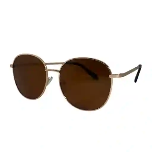 Gafas De Sol Invicta Pro Driver I 22811-pro-09-p02 Color Cafe Talla 57mm