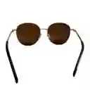 Gafas De Sol Invicta Pro Driver I 22811-pro-09-p02 Color Cafe Talla 57mm