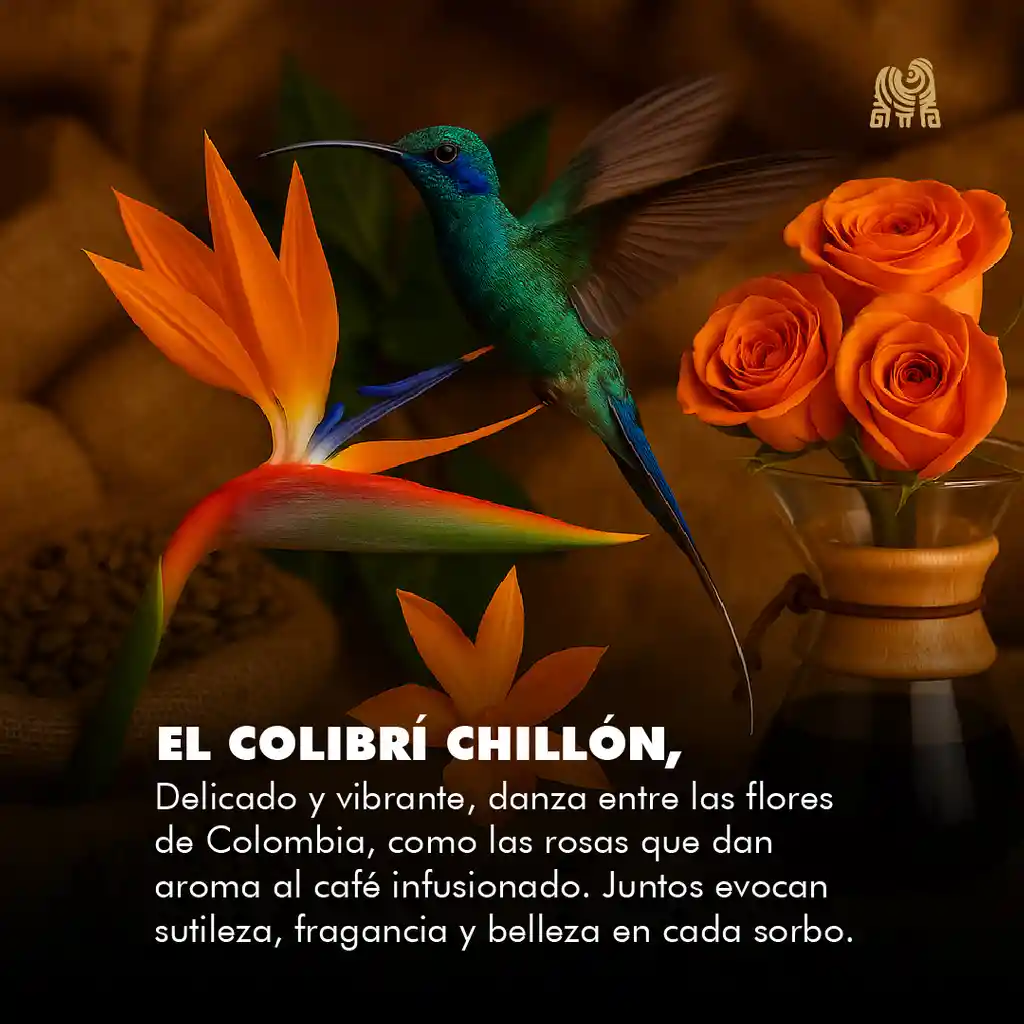 Rosas Infusionado 250g