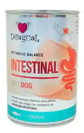Disugual - Dieta Intestinal Para Perros