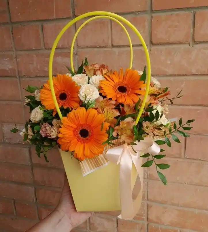“bolsa De Sol”