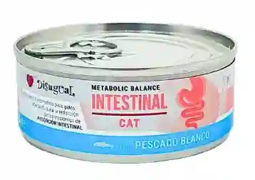 Disugual - Dieta Intestinal Para Gatos
