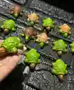 Animales Para Maqueta Tortuga X12 Unidades Tortuga X12 Unidades