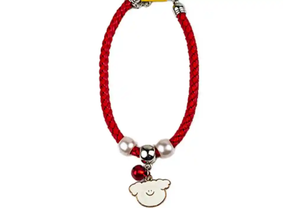 Collar Para Gato Rojo