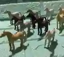Animales Para Maqueta Caballo X12 Unidades Caballo X12 Unidades