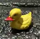 Animales Para Maqueta Pato X Unidad Pato X Unidad