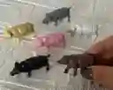 Animales Para Maqueta Cerdos O Marranos X6 Unidades