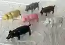 Animales Para Maqueta Cerdos O Marranos X6 Unidades