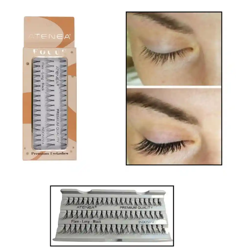 Pestañas Punto A Punto -- Atenea