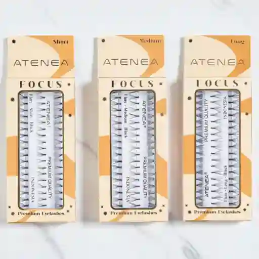 Pestañas Punto A Punto -- Atenea