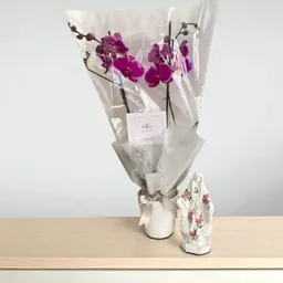 Orquideas Moradas Con Virgen La Milagrosa 22 Cms