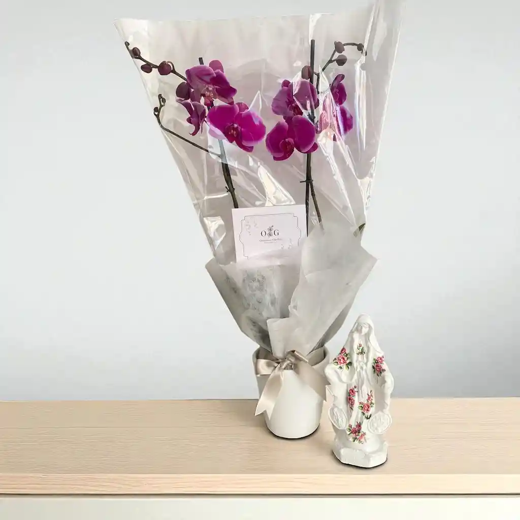 Orquideas Moradas Con Virgen La Milagrosa 22 Cms
