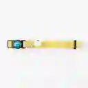 Collar Gato Animal Planet 4x18cm Multicolor
