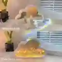 Lámpara Noche Flor Tulipanes Nube Con Espejo Romántica Estructura Blanco Pantalla Agua