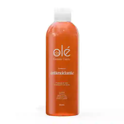 Shampoo Antioxidante Mix De Frutas.