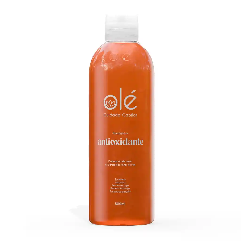 Shampoo Antioxidante Mix De Frutas.