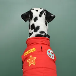 Chaleco 2xl Salvavidas Rojo