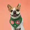 Pañoleta Xl Pet Scout