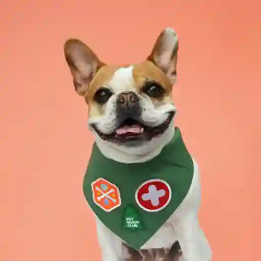Pañoleta Xl Pet Scout