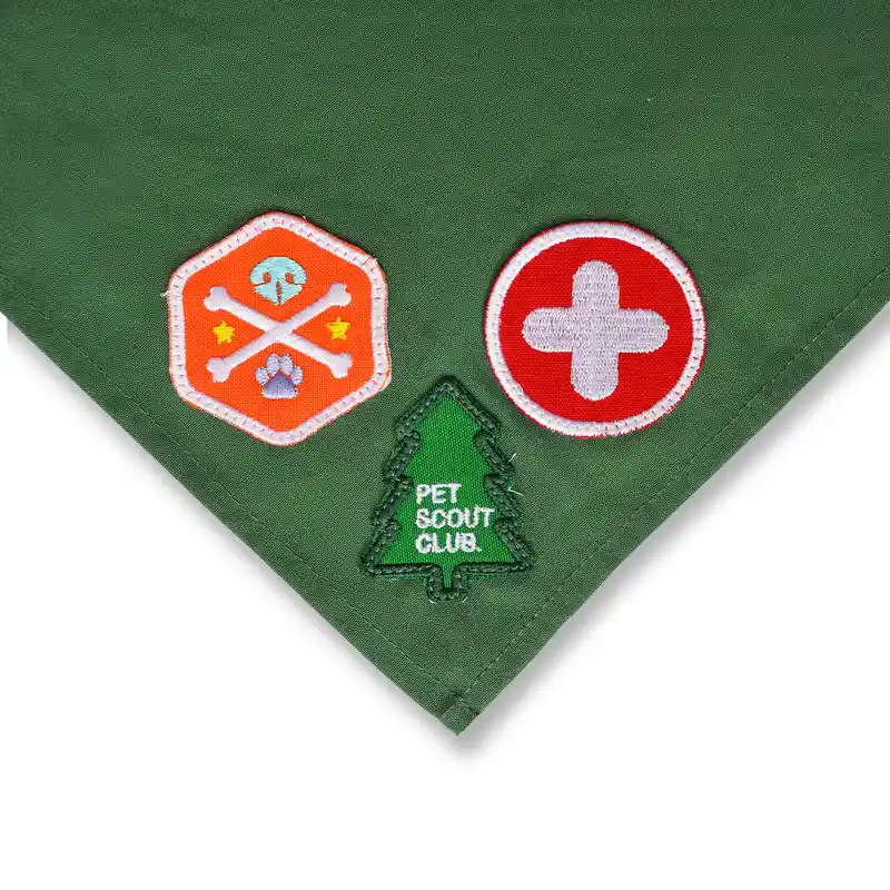 Pañoleta Xl Pet Scout