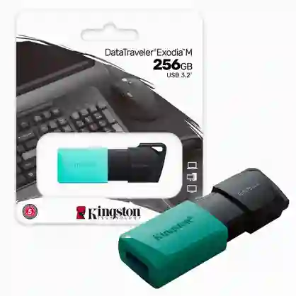 Memoris Usb 256gb Kingston