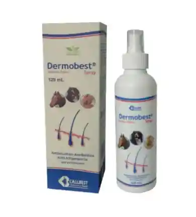 Dermobest Spray X 120ml (fúngico )
