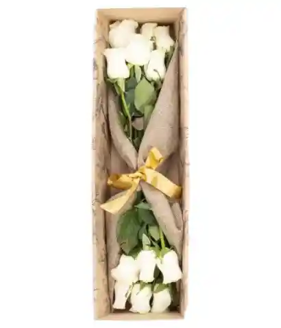 Caja 12 Rosas Blancas