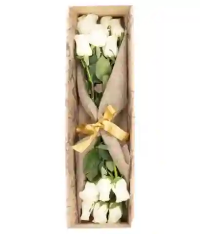 Caja 12 Rosas Blancas