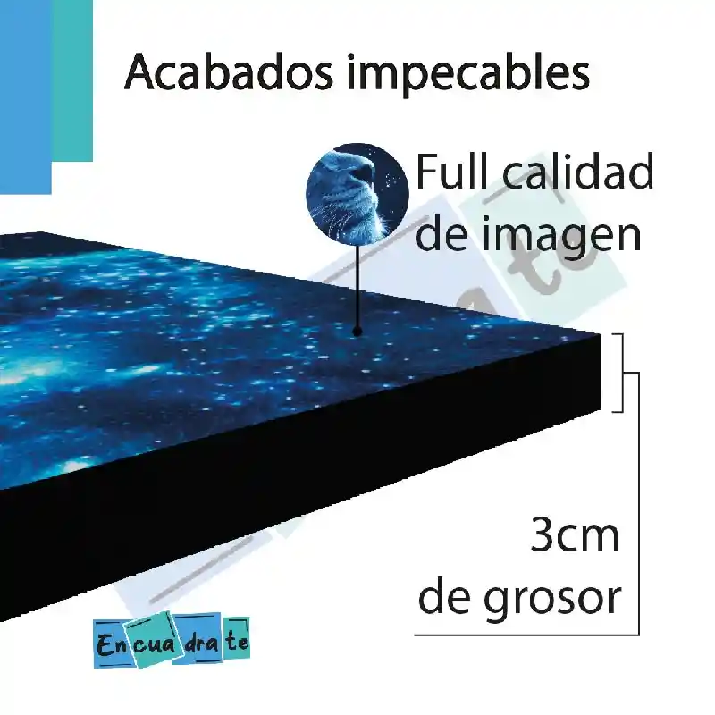 Cuadro Retablo 3 Piezas Leon Estrellas