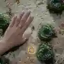Anillo Amor Inquebrantable